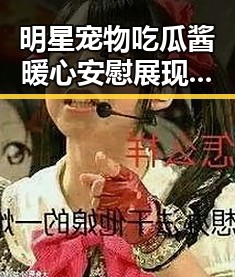 明星宠物吃瓜酱暖心安慰展现娱乐圈另一面