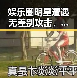 娱乐圈明星遭遇无差别攻击，网友热议背后隐忧
